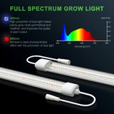 Mars Hydro VG80 ไฟปลูก LED สำหลับต้นกล้า, ทำใบ และ โคลนนิ่ง